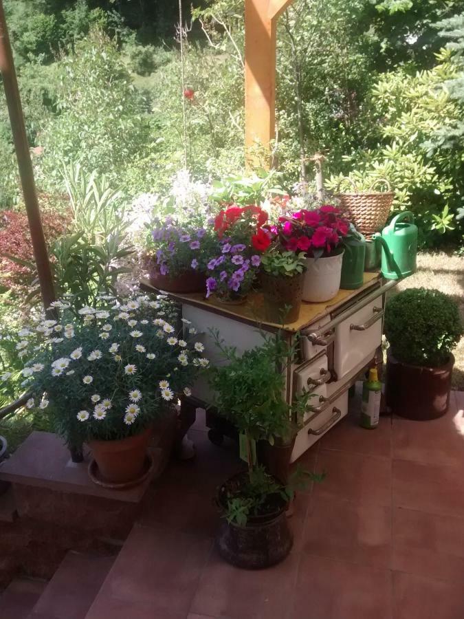 Casa La Collina Delle Ginestre Apartment Eberbach  Ngoại thất bức ảnh