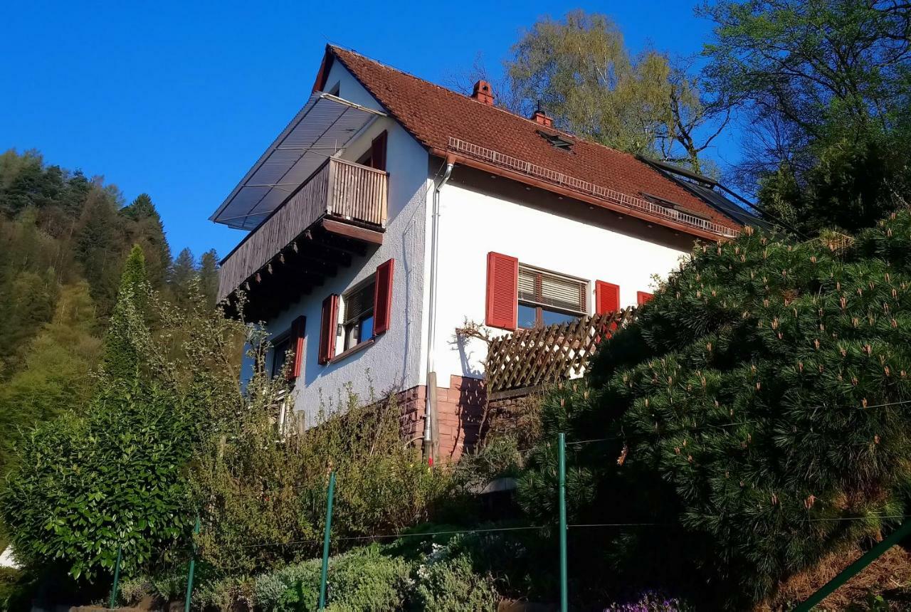 Casa La Collina Delle Ginestre Apartment Eberbach  Ngoại thất bức ảnh